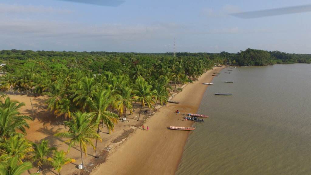 Suriname, water, palmbomen, strand