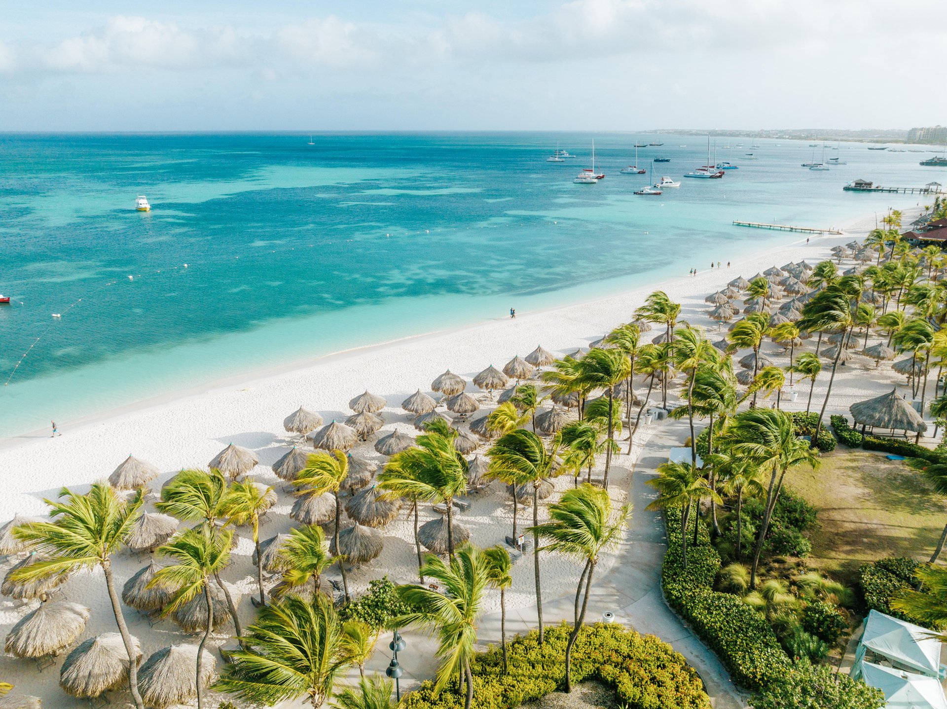 Aruba Palm Beach strand foto
