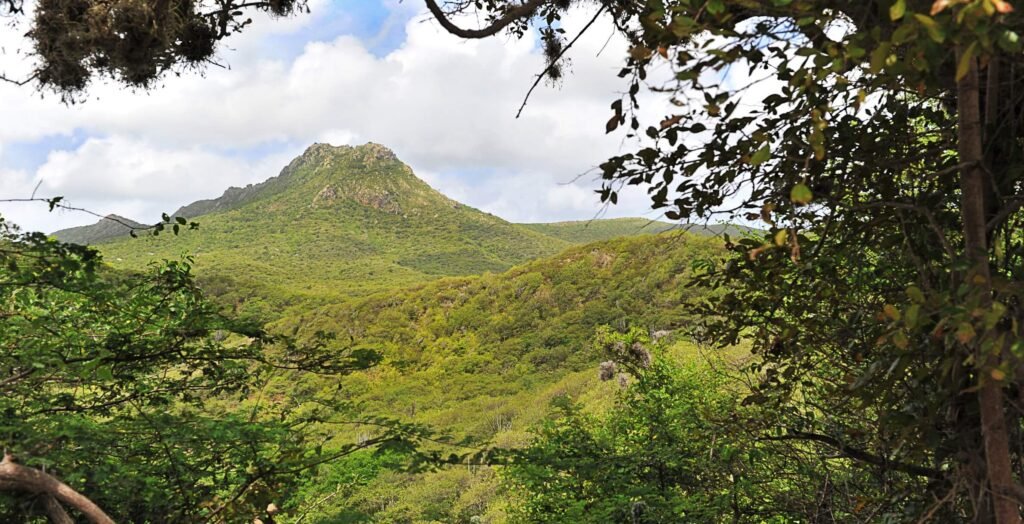 natuur-curacao-abc-travel