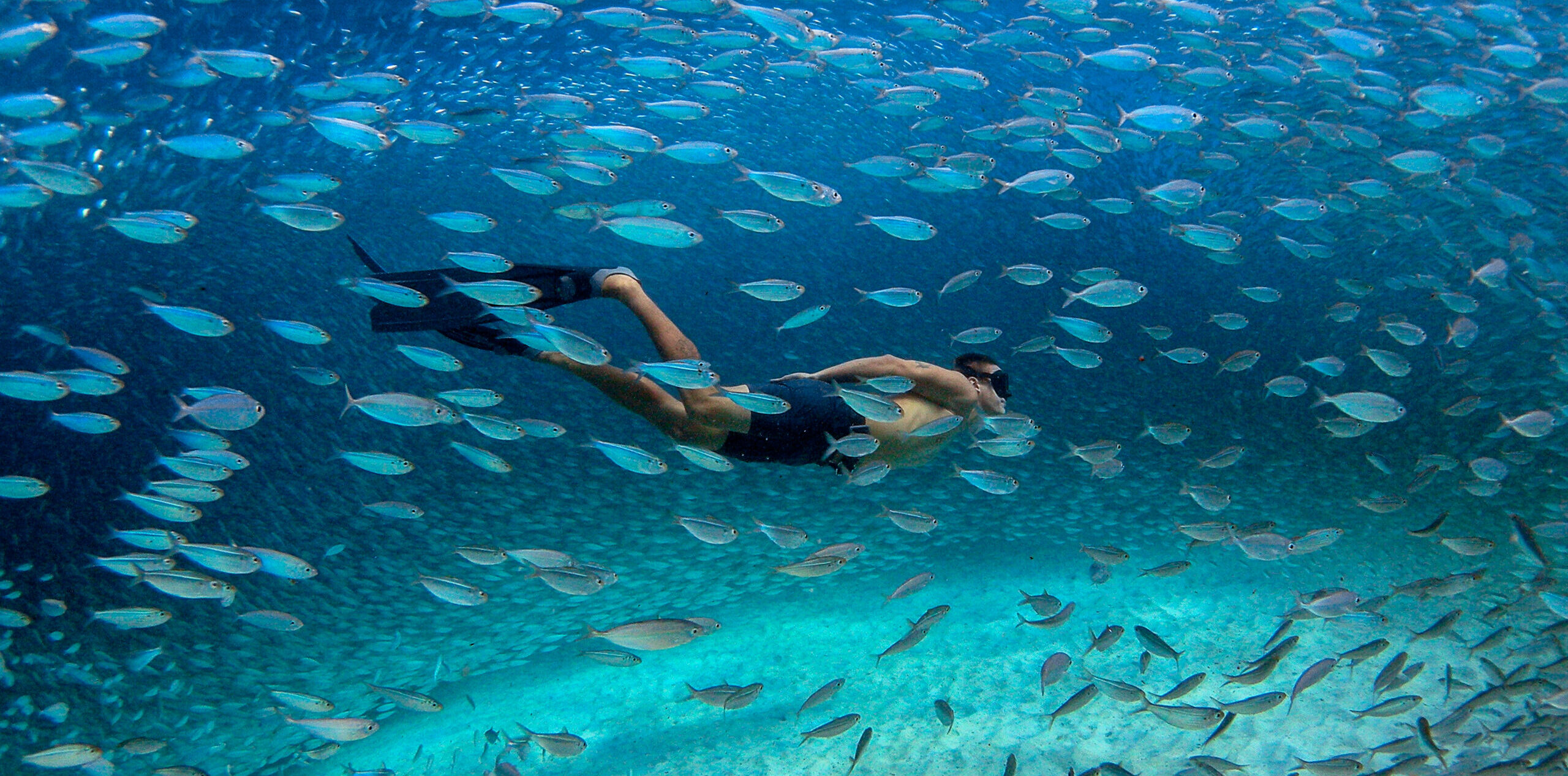 Bonaire onderwater duiken snorkelen