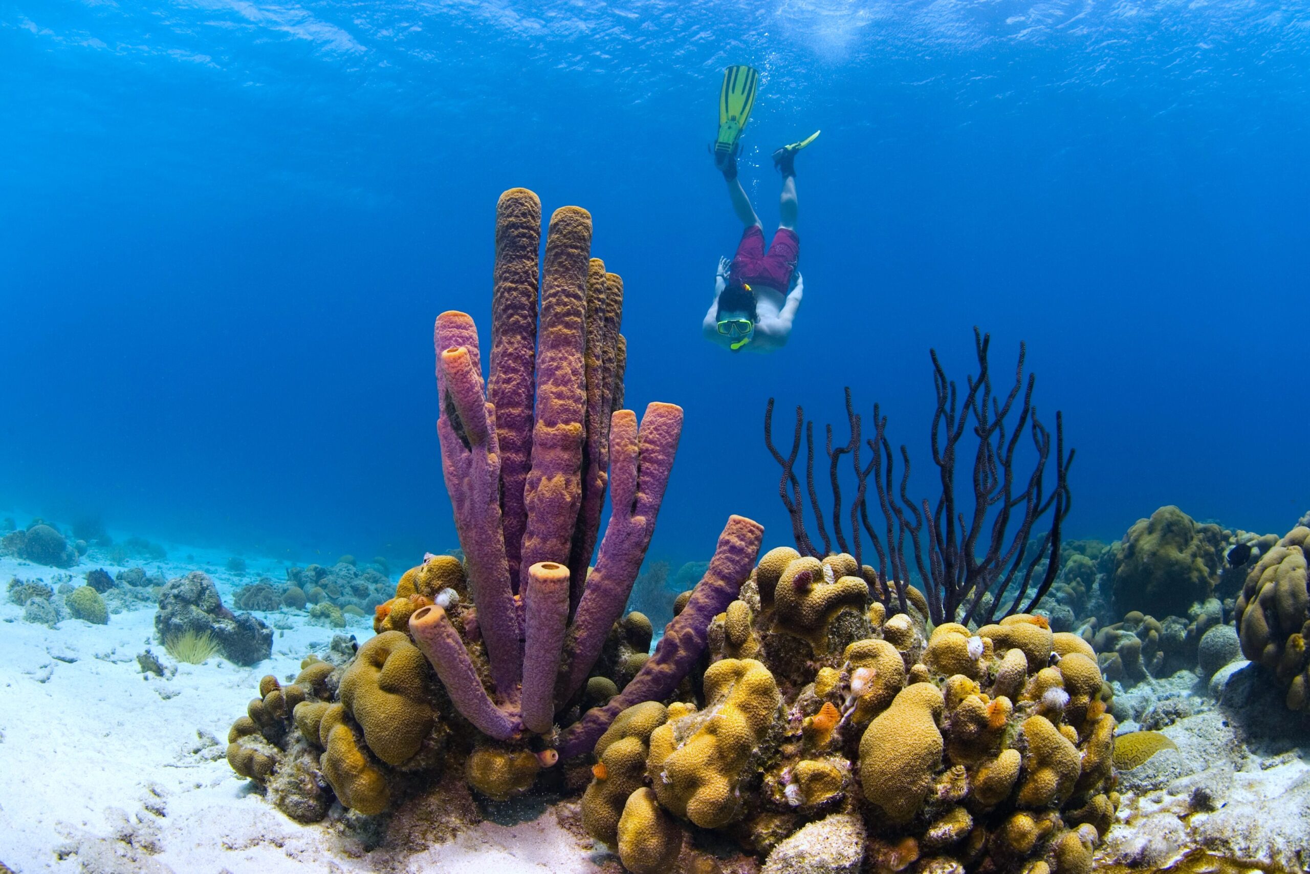 Duiken curacao