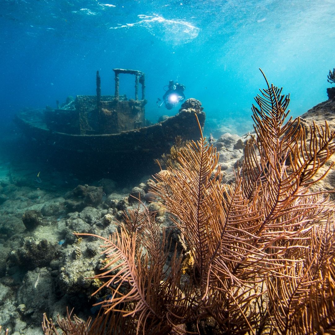 Curacao Tugboat Snorkelen Onderwater