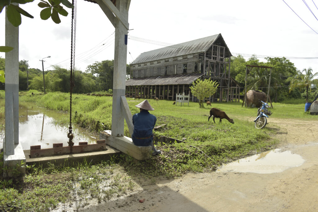 Suriname Peperpot