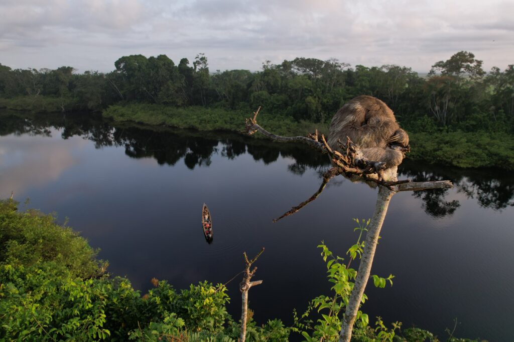 Rivier met boot, luiaard, Suriname