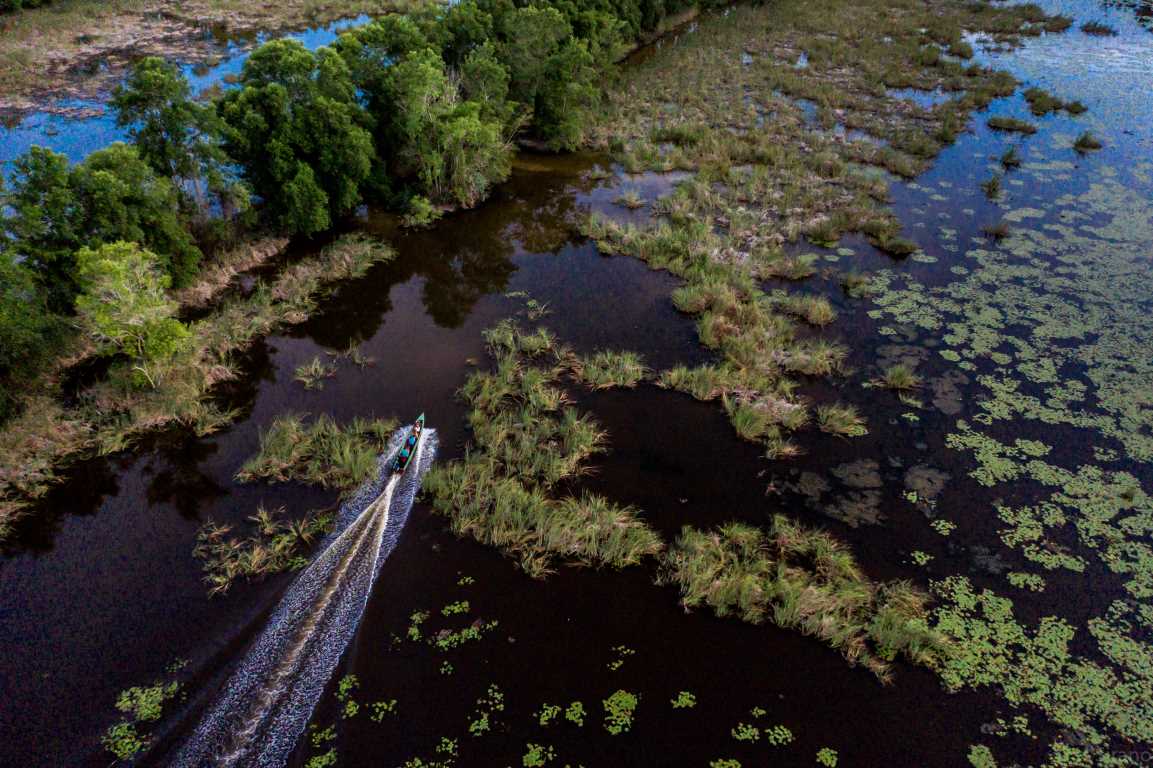 Frederiksdorp Suriname Swamp Tour