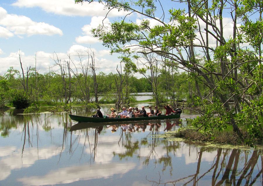 Suriname Bigi Pan Tour Water Boottour