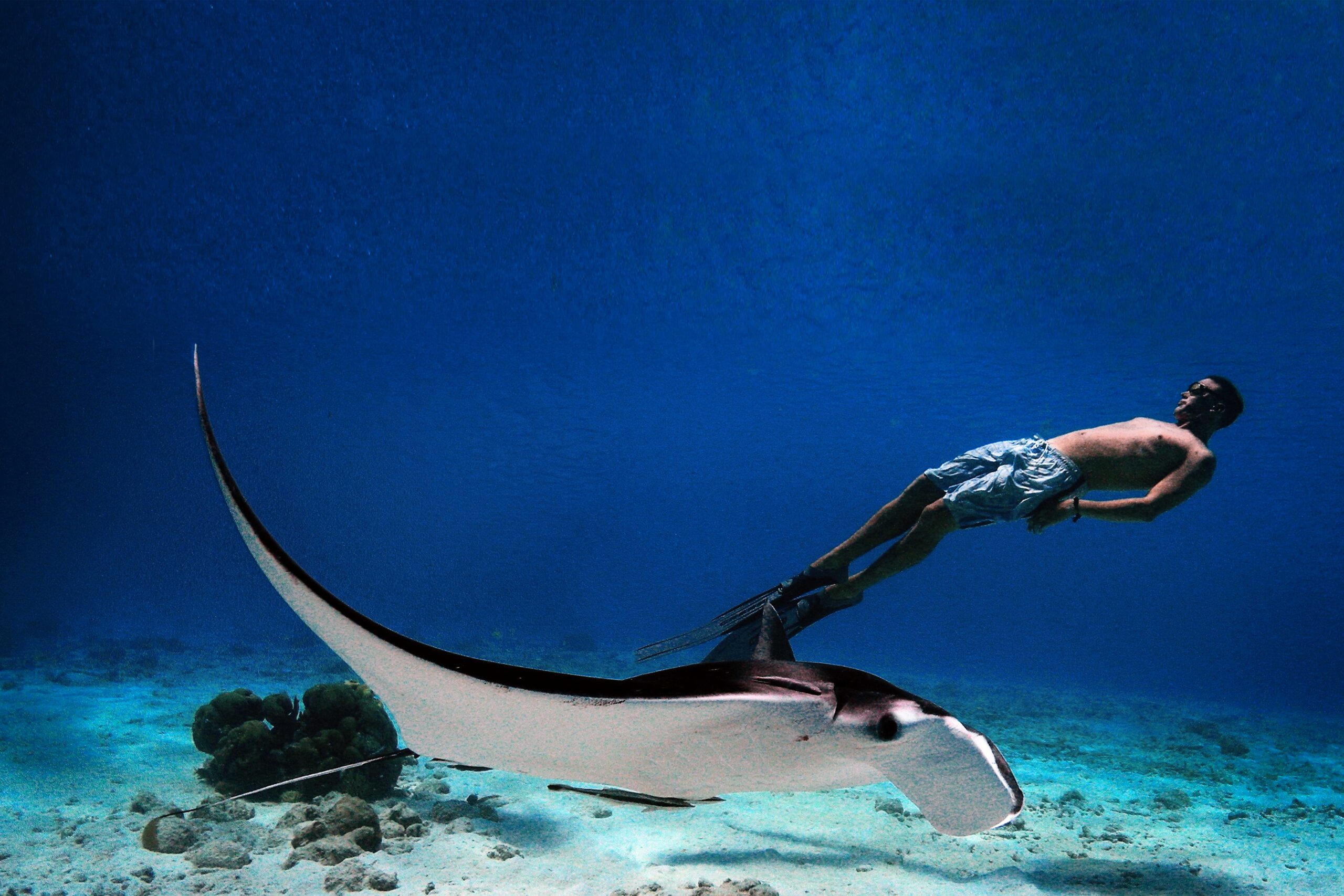 combinatiereis-aruba-bonaire-1