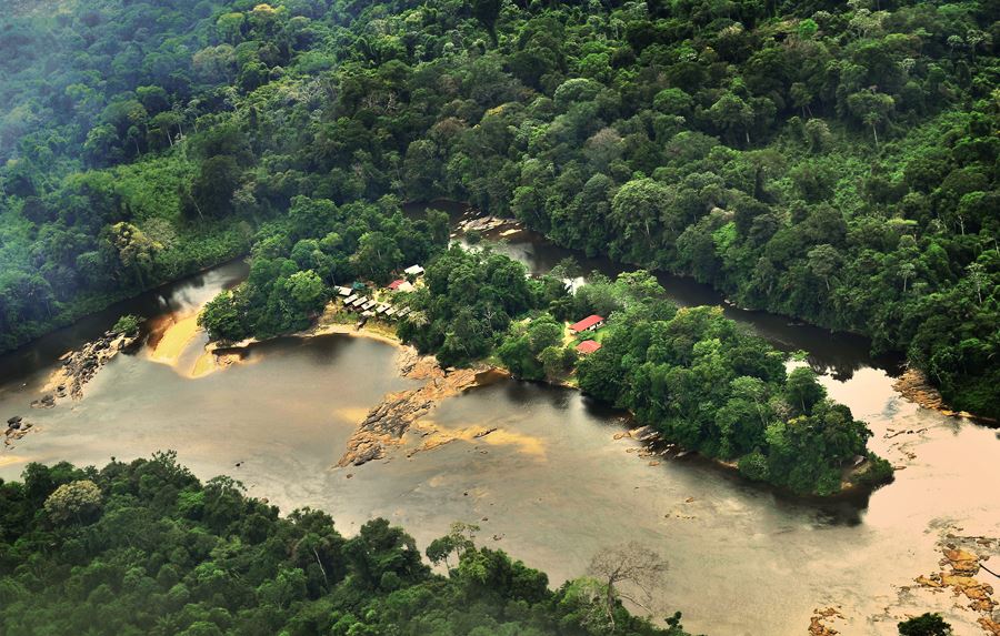 Suriname Danpaati Lokaal Jungle Oerwoud Bos
