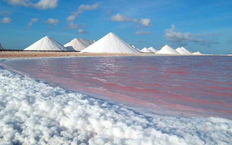 Zoutpannen Bonaire, zout water, roze, natuur