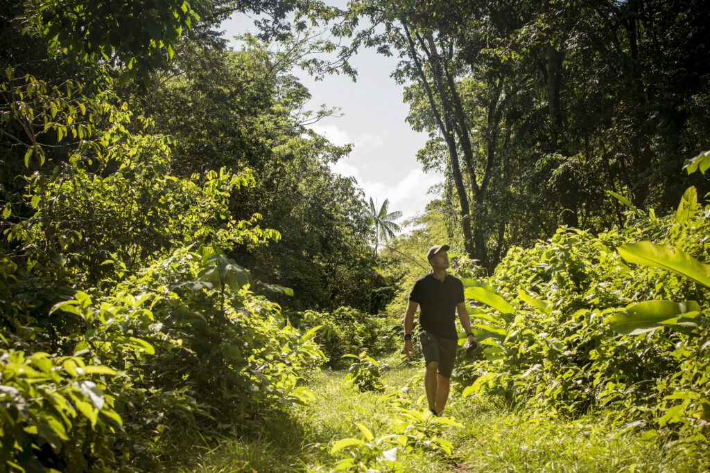 Peperpot, wandelen, jungle