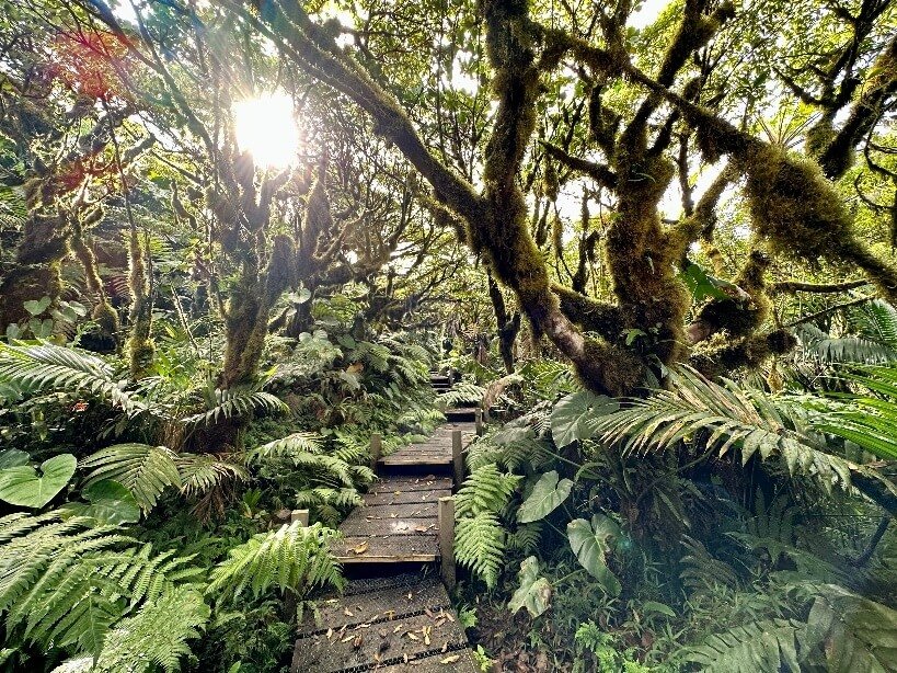 the-mount-scenery-op-saba