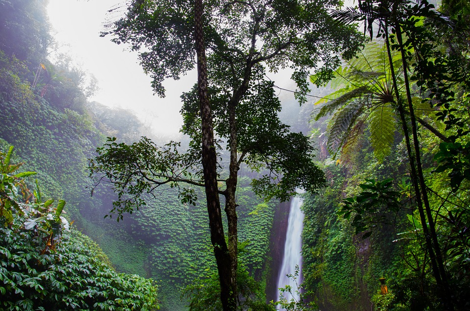 Suriname Waterval