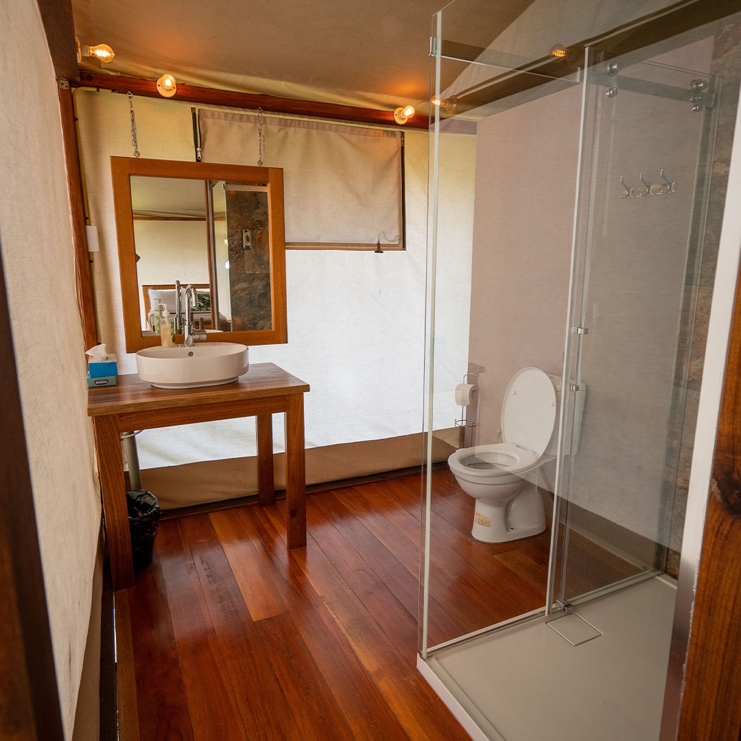 Houttuyn, accommodatie Suriname, badkamer glamping