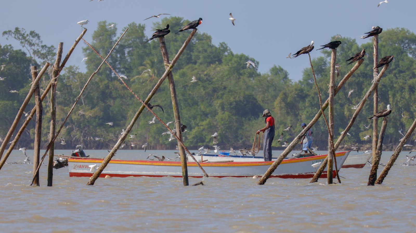 Brownsberg Ston Island, accommodatie Suriname, vissersboot