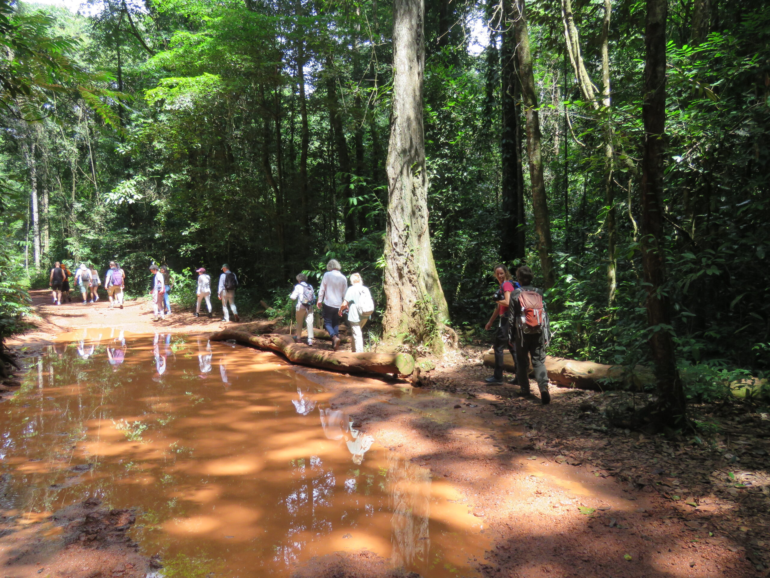 Brownsberg Ston Island, accommodatie Suriname, wandeling, hike