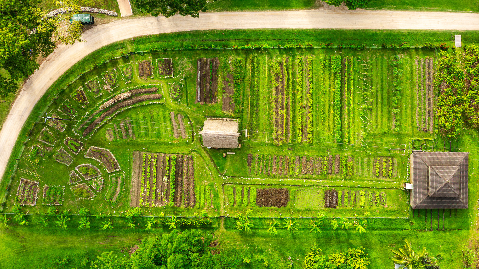 Copal Tree Lodge Belize jungle accommodatie jungle