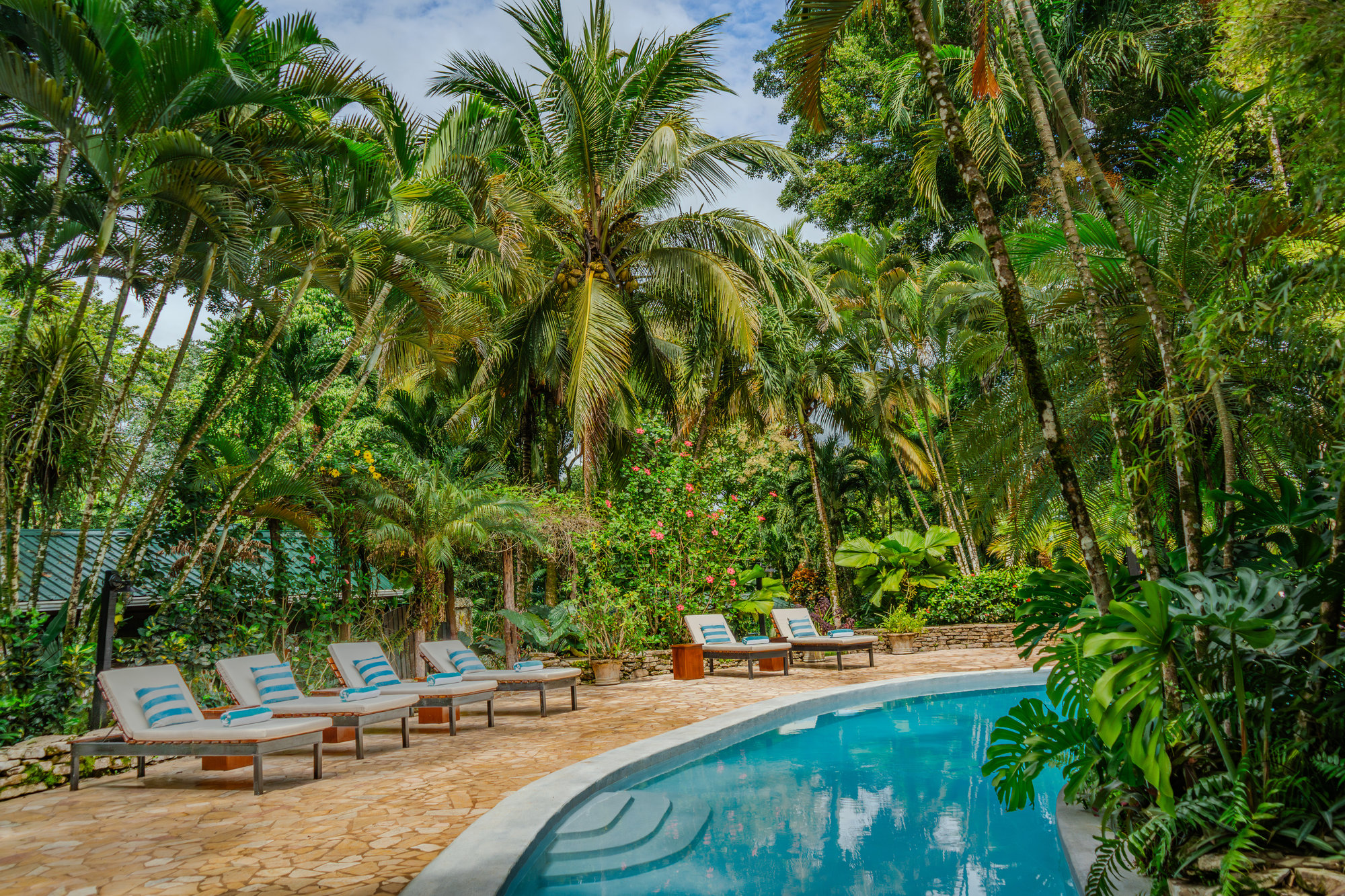 Copal Tree Lodge Belize jungle accommodatie zwembad met ligbedden