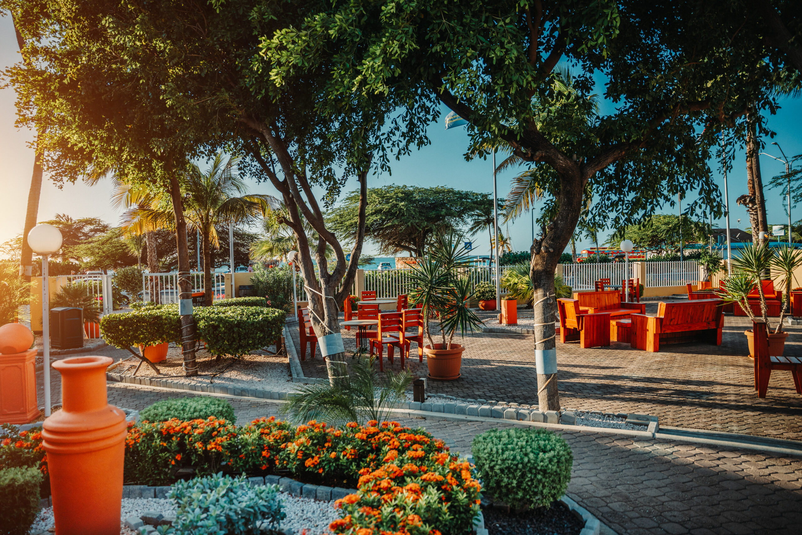 MVC Eagle Beach Aruba