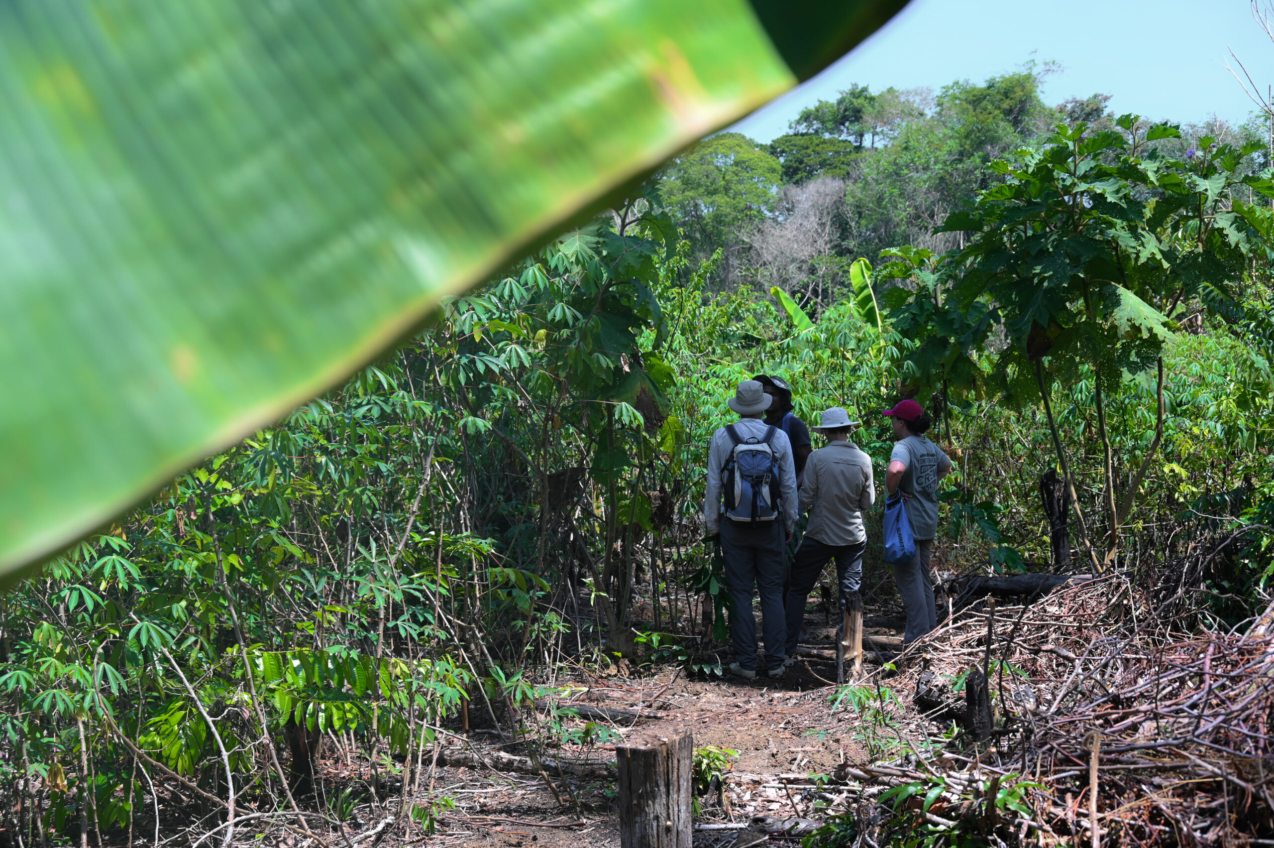 Palumeu Jungle Lodge Boven-Tapanahonyrivier Nature Tropisch Regenwoud Amazone Cultuur Natuur