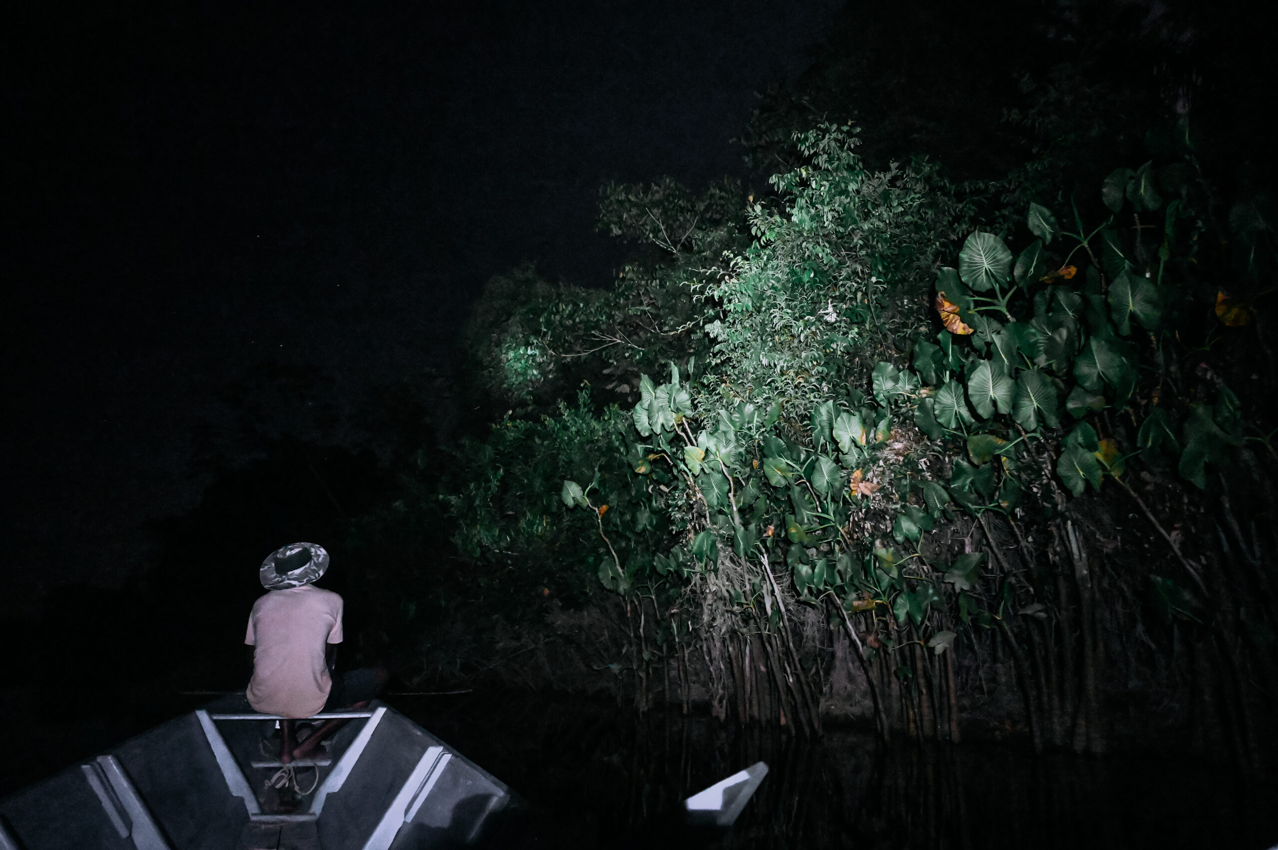 Palumeu Jungle Lodge Boven-Tapanahonyrivier Nature Tropisch Regenwoud Amazone Cultuur Natuur