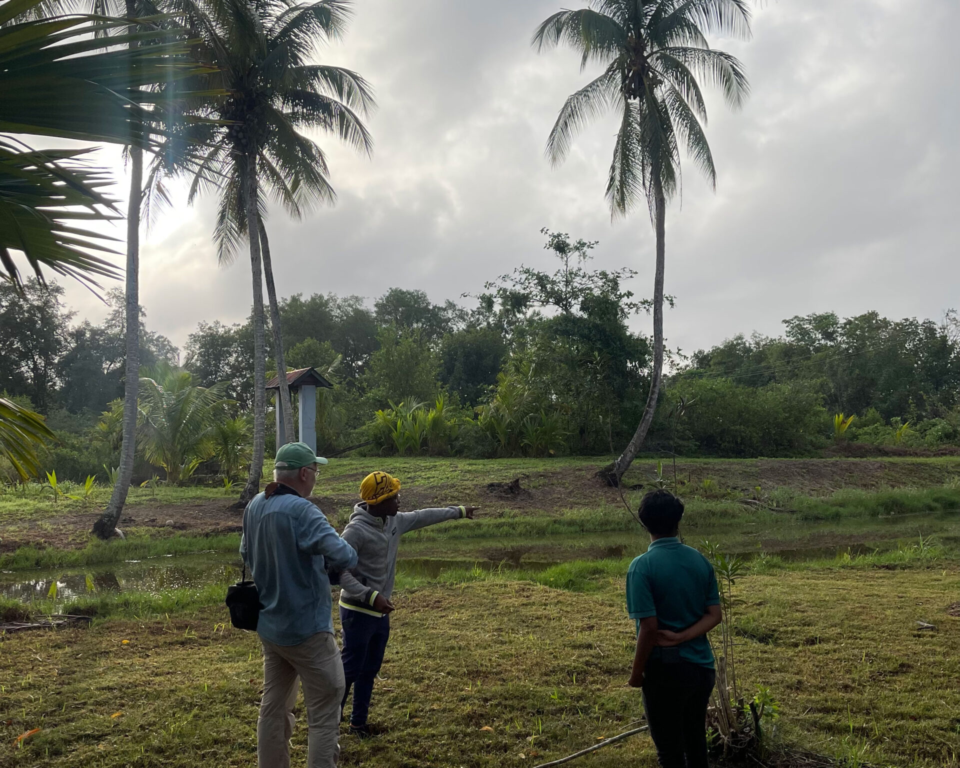 Frederiksdorp Suriname Gidsen Vogeltour