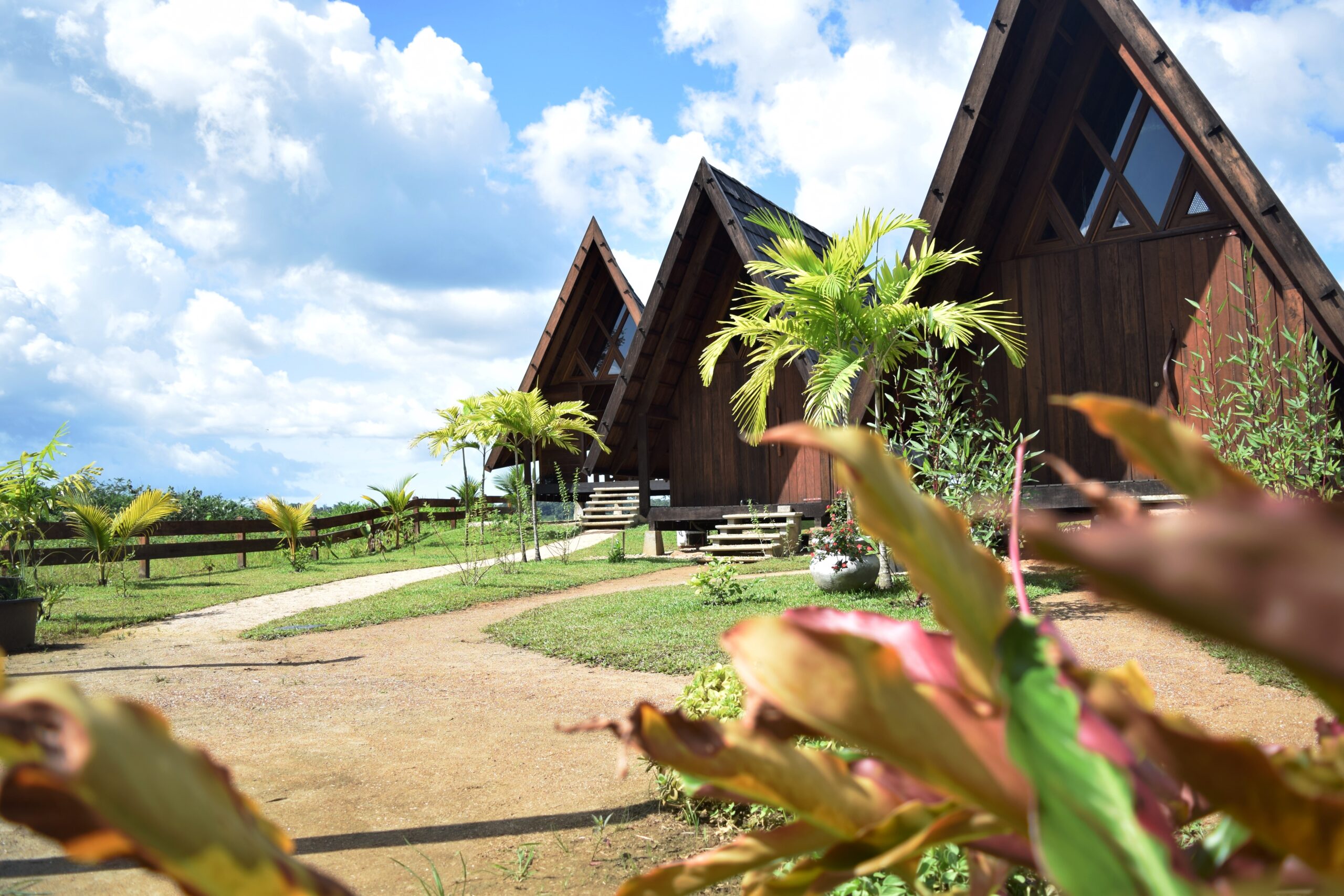 Houttuyn, accommodatie, Riverside suite, buitenaanzicht cabins