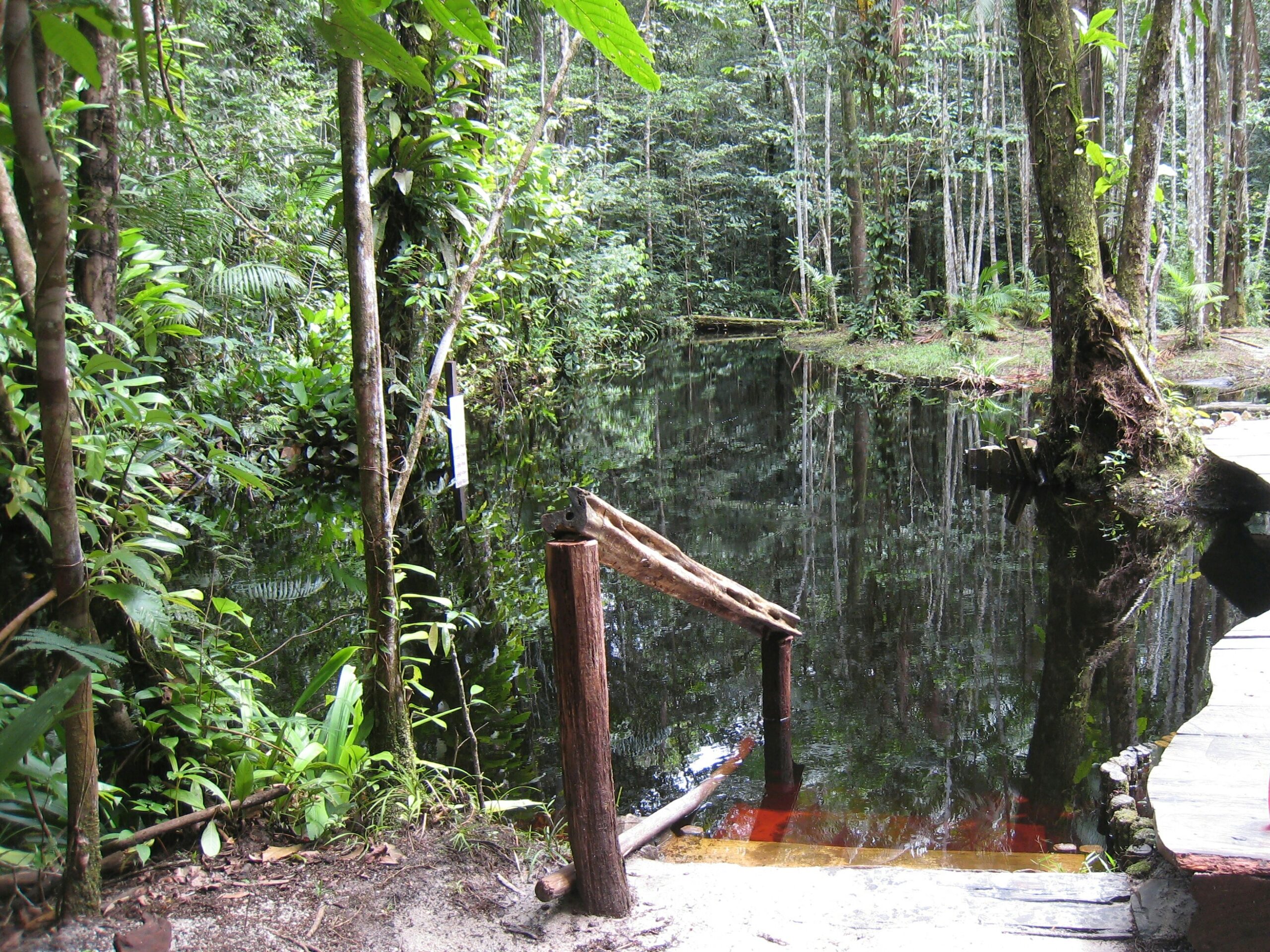 Palulu accommodatie Suriname, natuur, rivier
