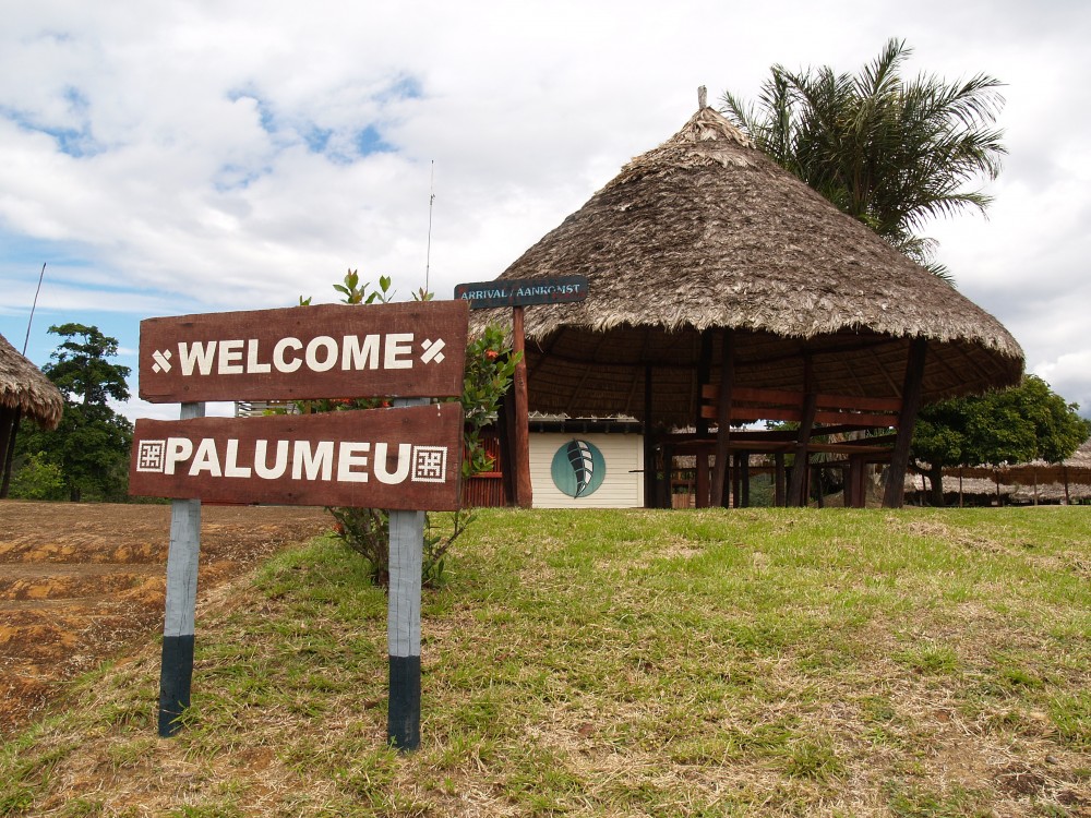Palumeu Jungle Lodge Boven-Tapanahonyrivier Nature Tropisch Regenwoud Amazone Cultuur Natuur