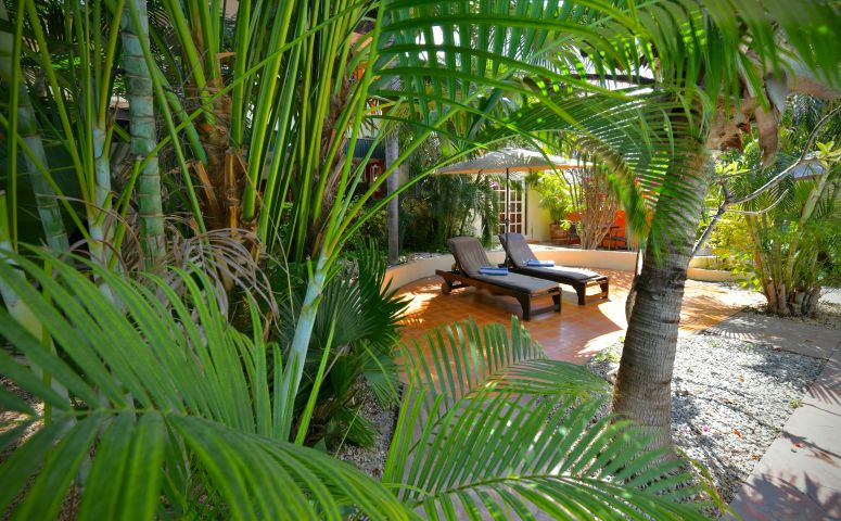 Wonders Boutique Hotel Tuin Aruba
