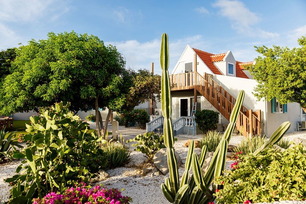 aruba-boutique-apartments-15