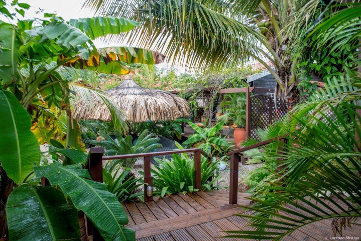 bamboo-bonaire-boutique-resort-21