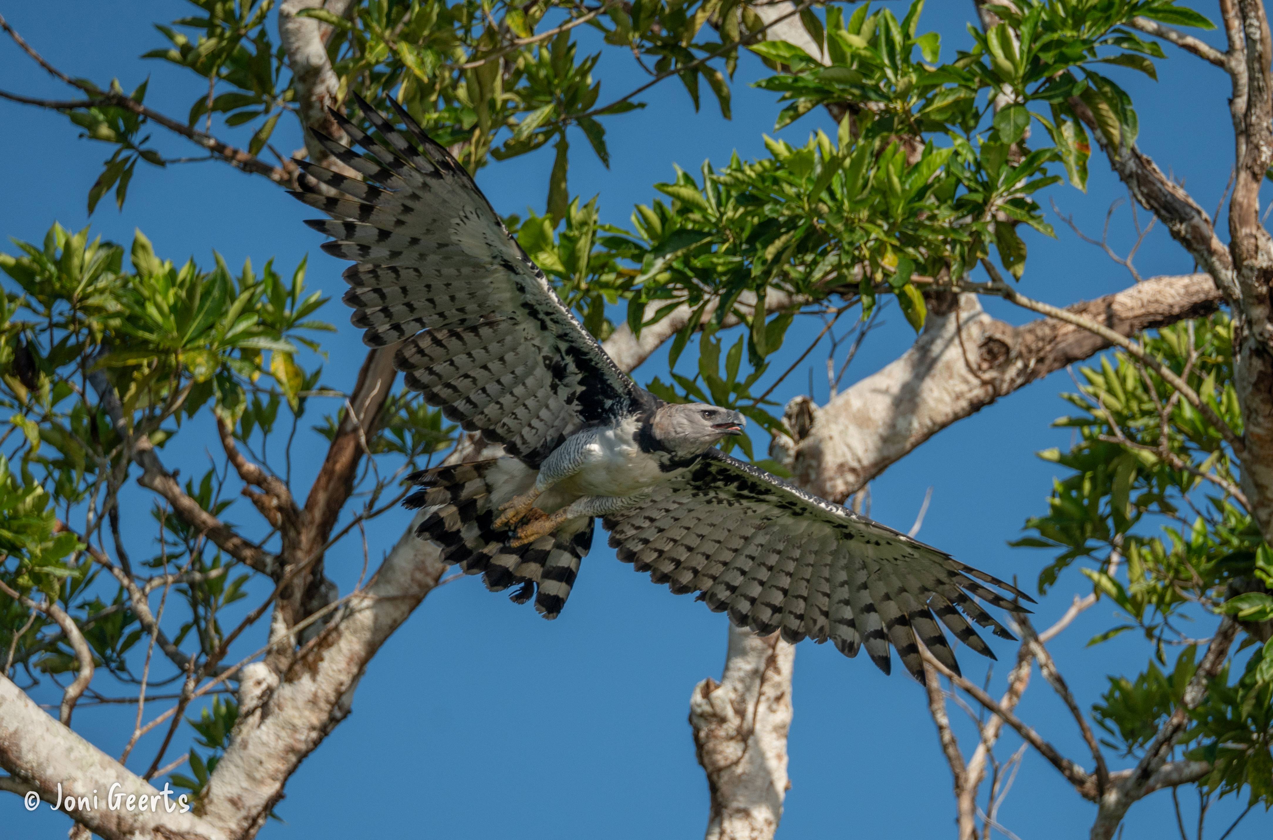 bloemendaal-appartementen-2