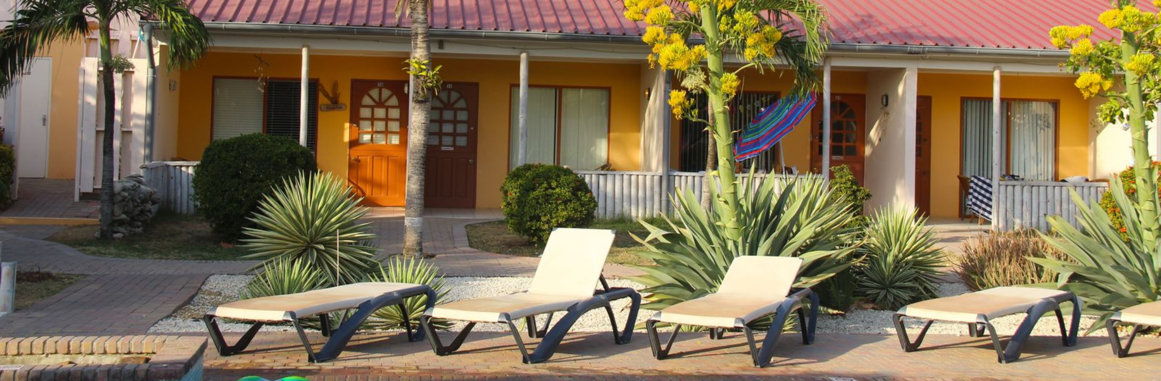 Camacuri Residence, Aruba, accommodatie, zwembad met ligbedden