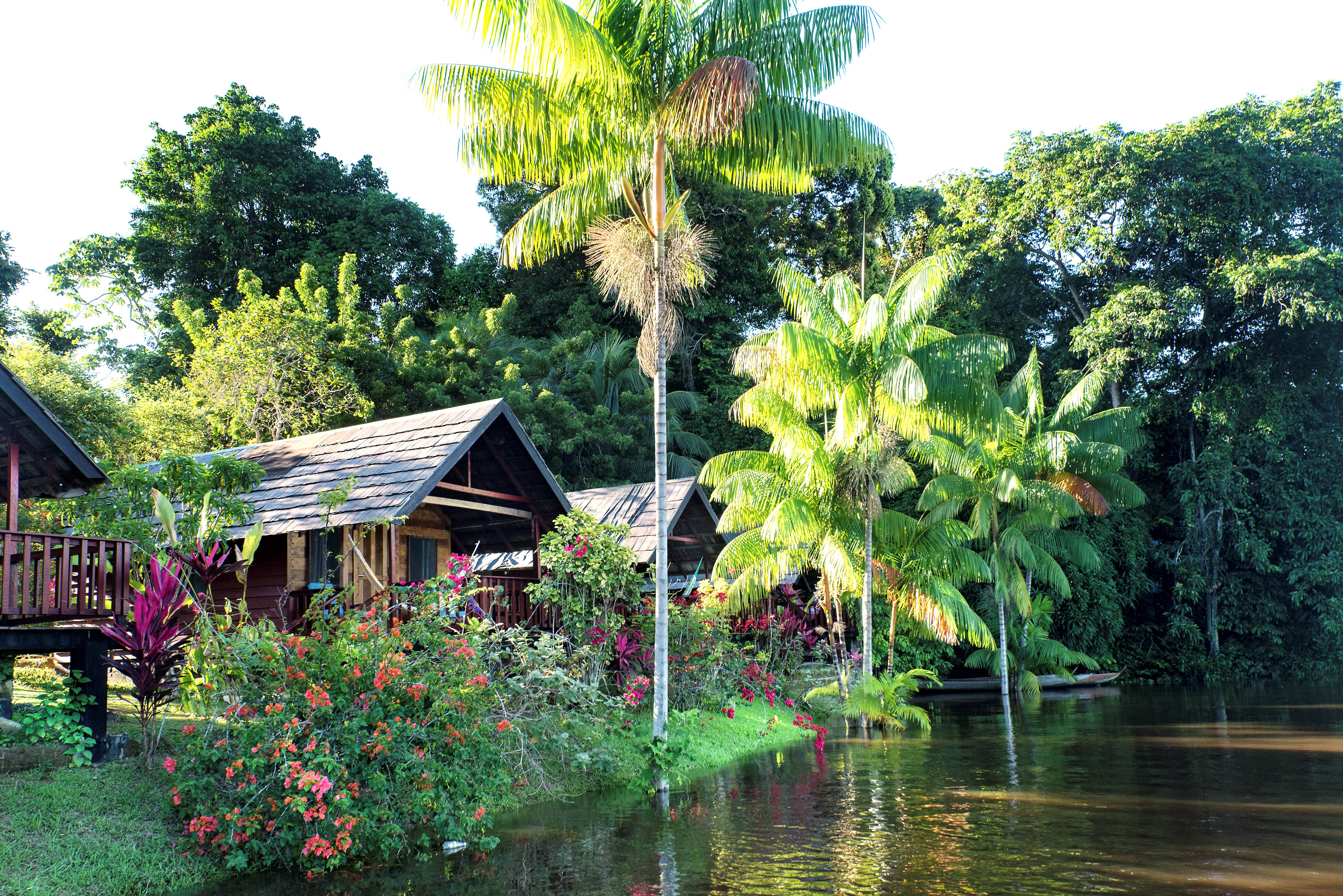 danpaati-river-lodge-1