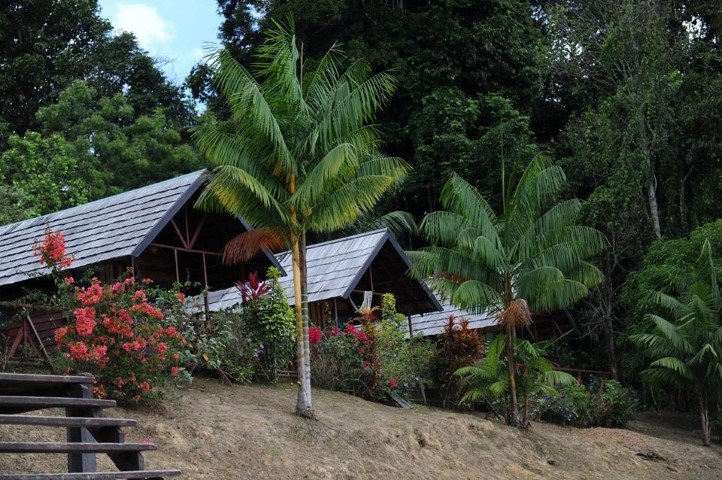 danpaati-river-lodge-15