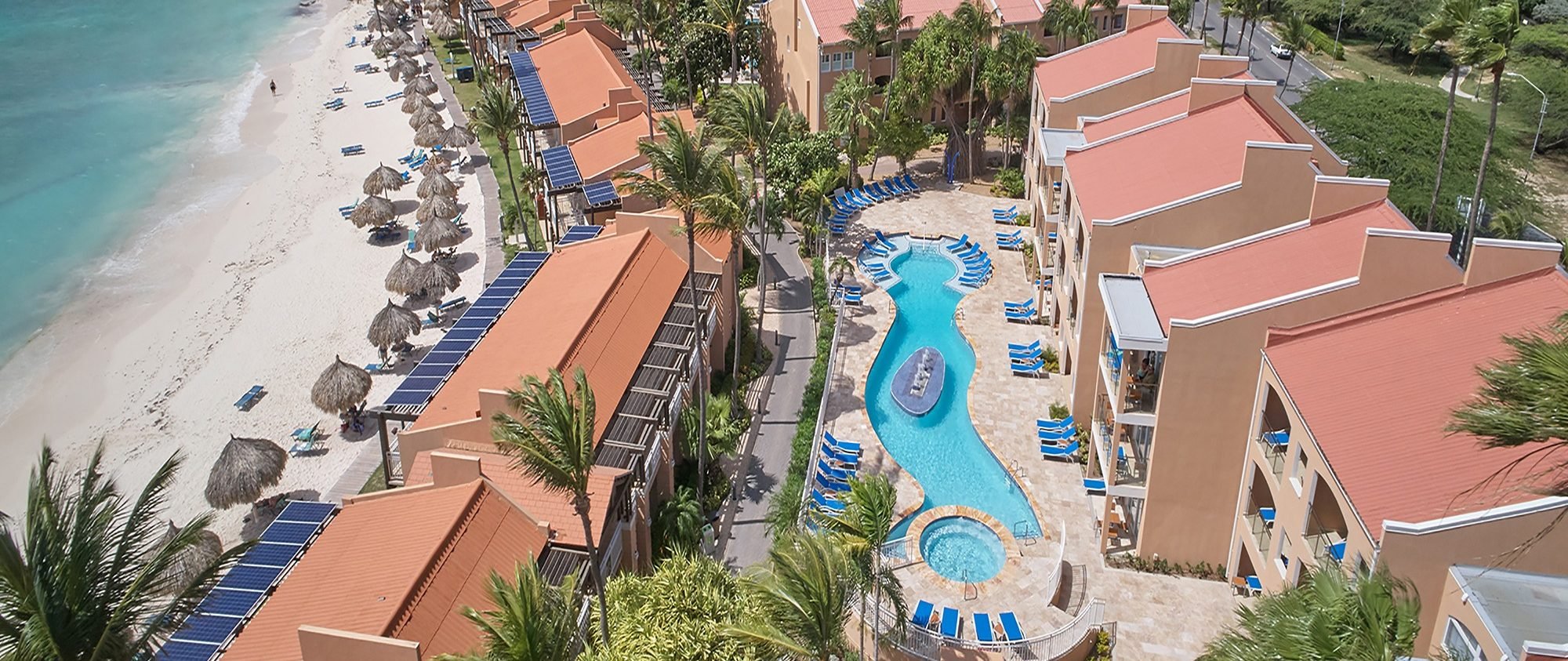 Divi Dutch Village Beach Resort, accommodatie Aruba, aan zee, strand met ligbedden, zwembad