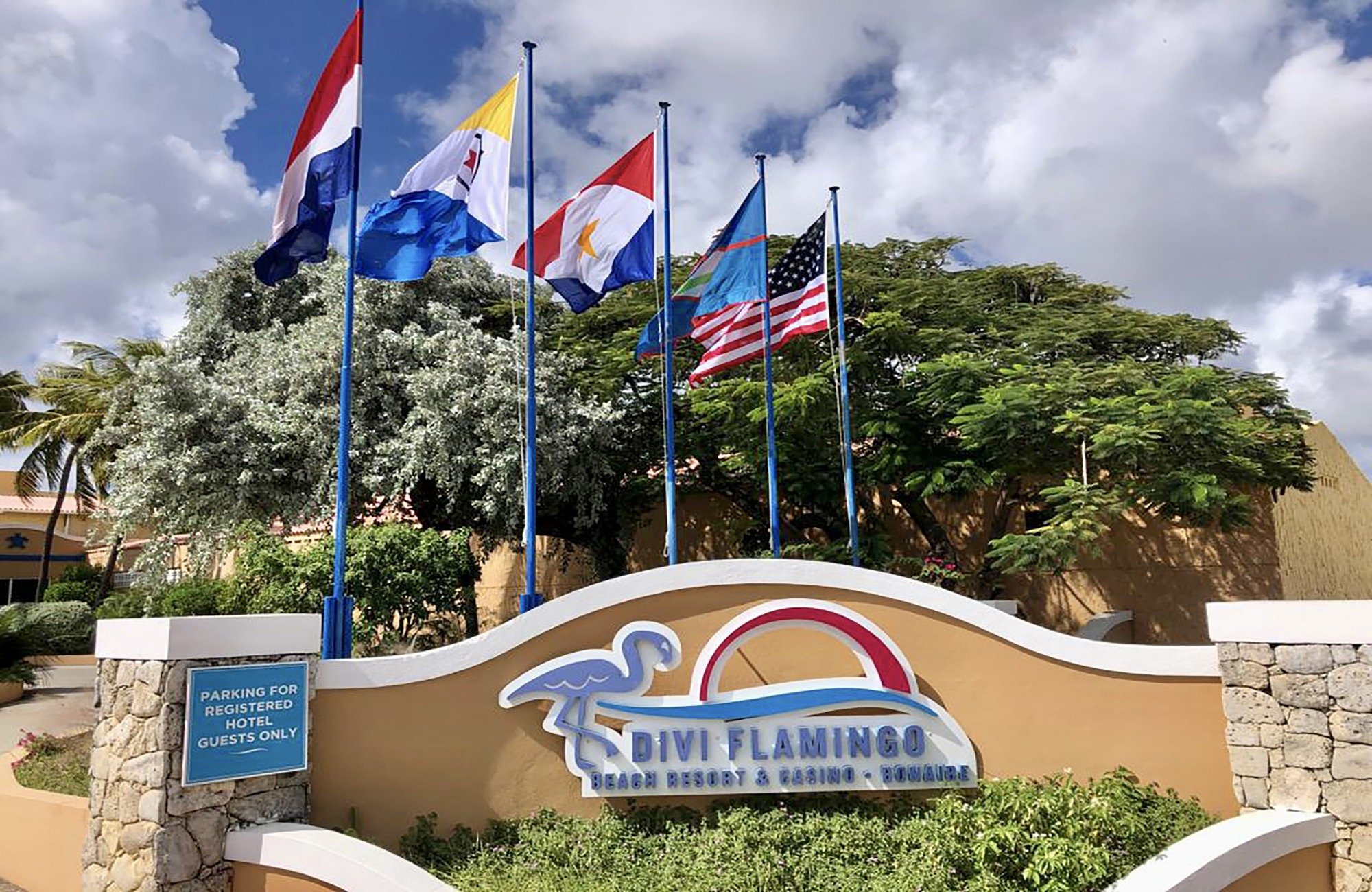 divi-flamingo-beach-resort-casino-1