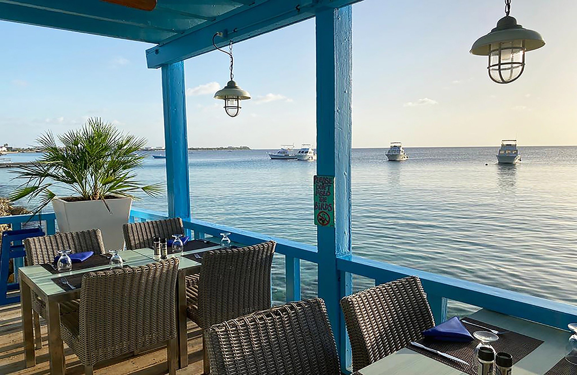 divi-flamingo-beach-resort-casino-17