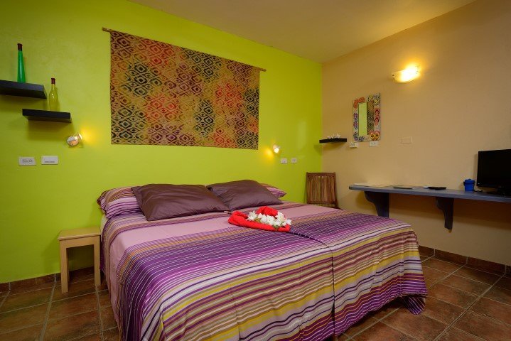 djambo-bonaire-18