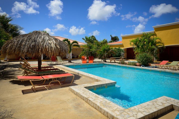 djambo-bonaire-2