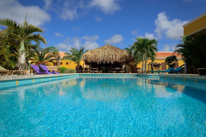 djambo-bonaire-4
