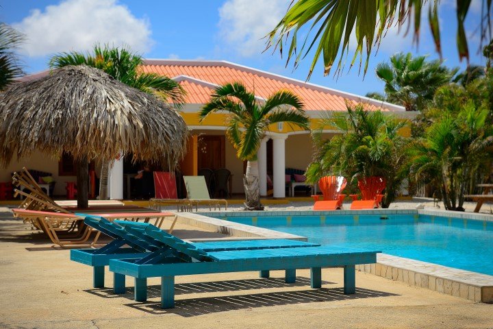 djambo-bonaire-5