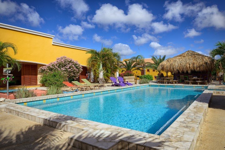 djambo-bonaire-6