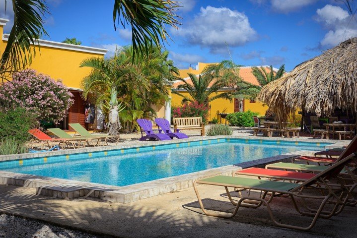djambo-bonaire-7