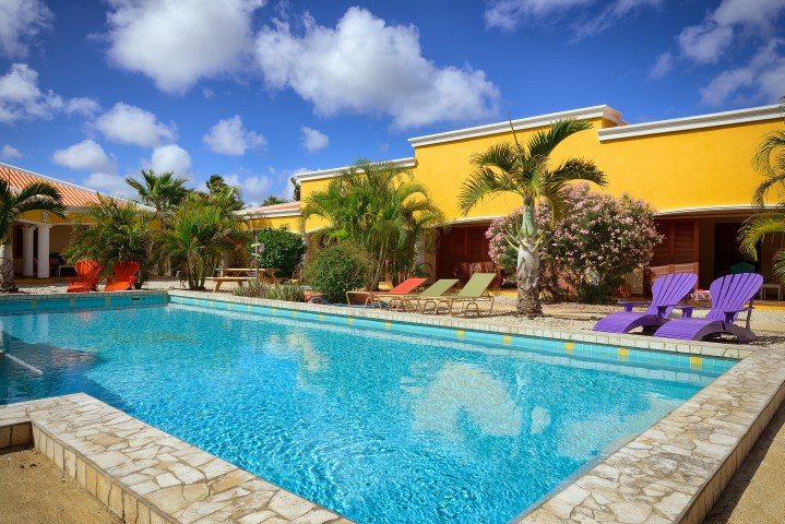 djambo-bonaire-8