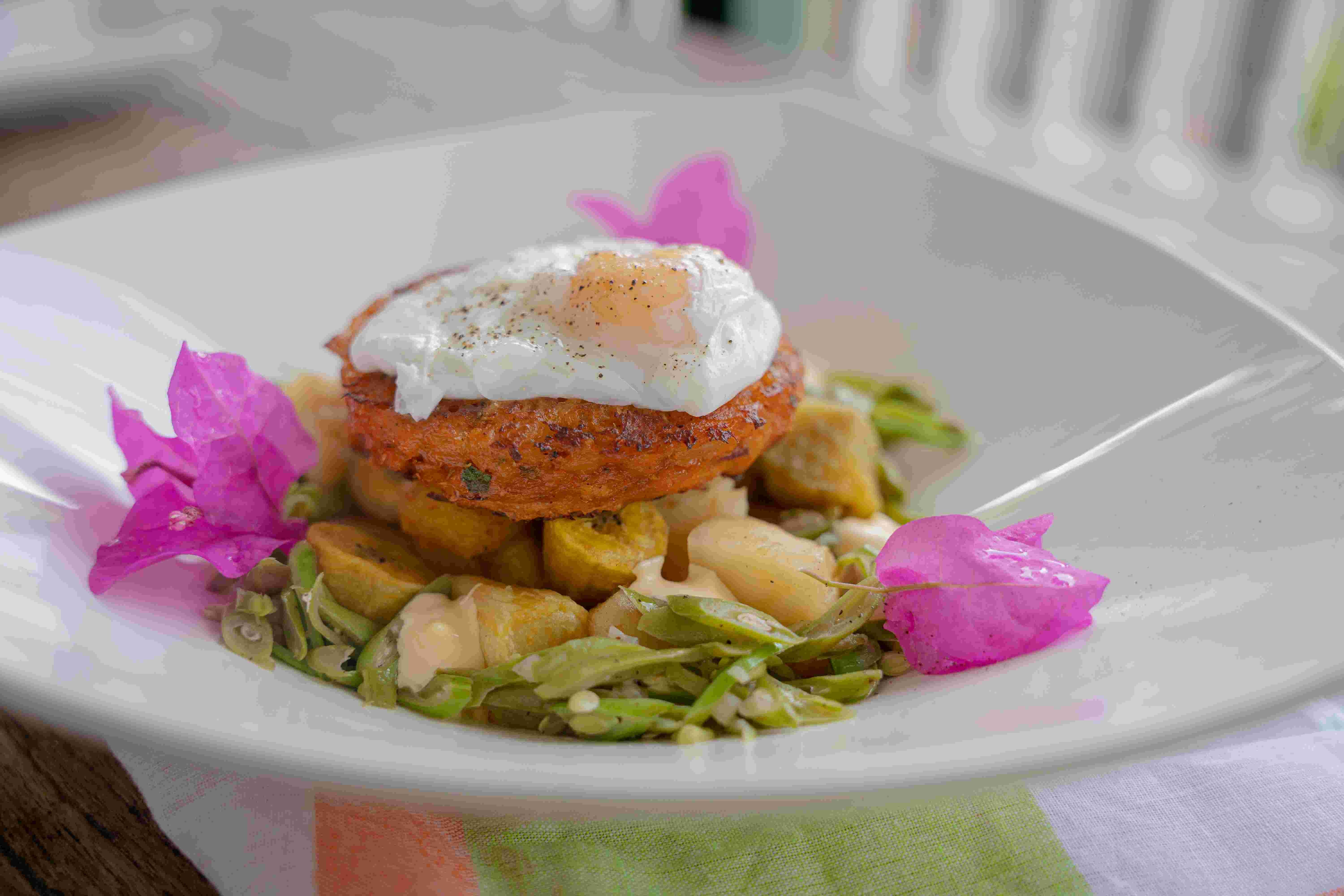 Eco Torarica-Suriname-Paramaribo-accommodatie-natuur-culinair-eten