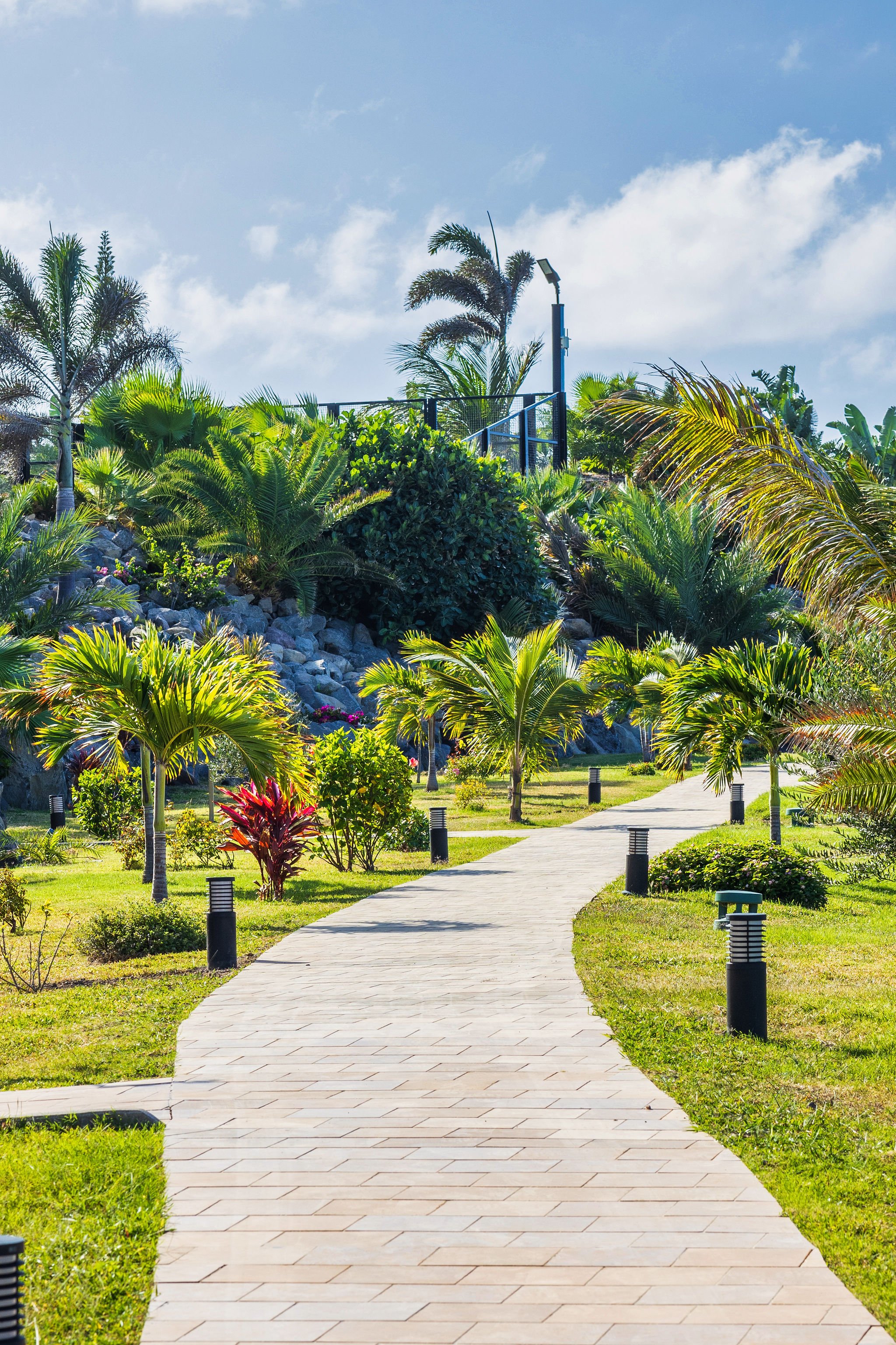 golden-rock-dive-nature-resort-Sint Eustatius-accommodatie-tuin-groen