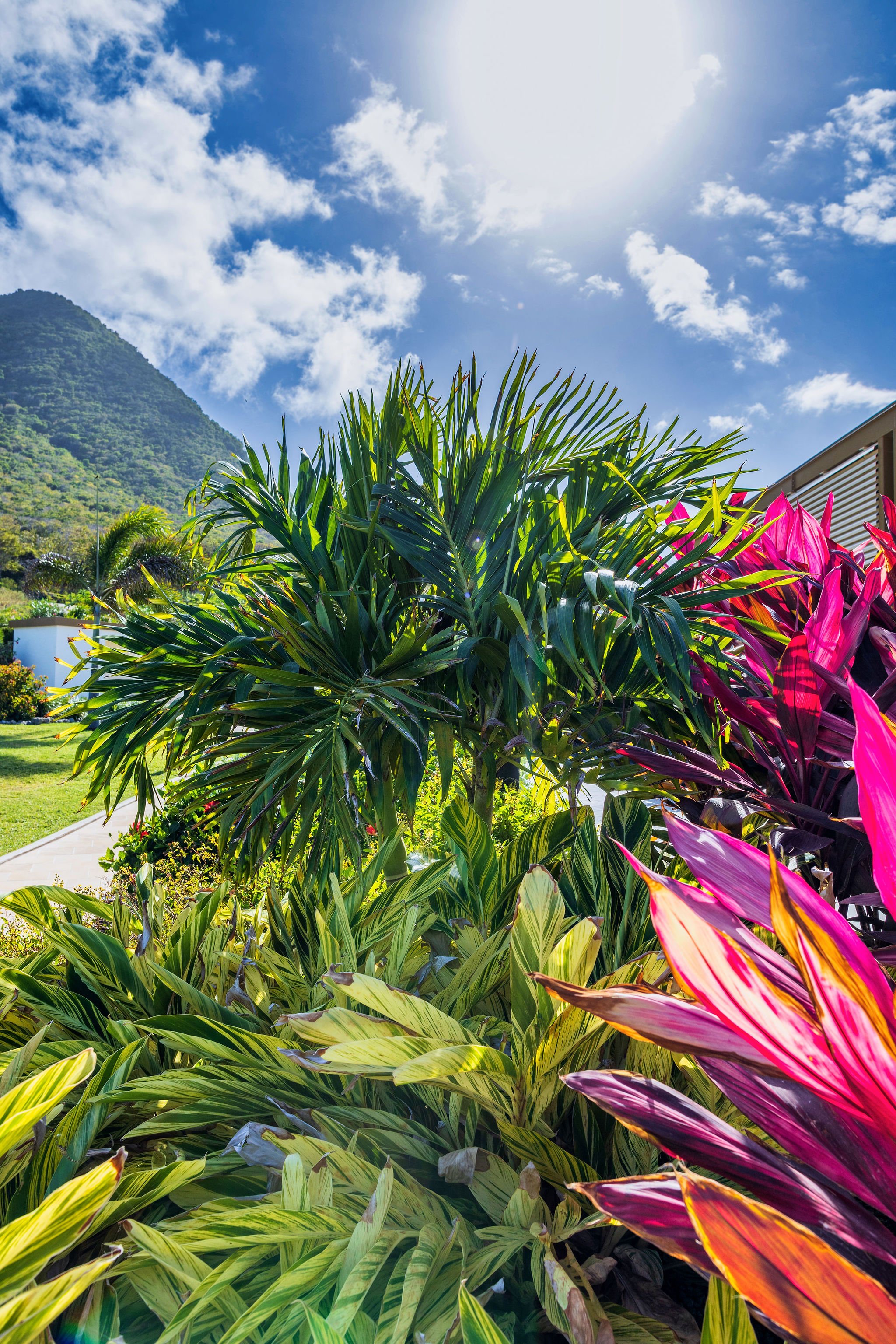 golden-rock-dive-nature-resort-Sint Eustatius-accommodatie-natuur-