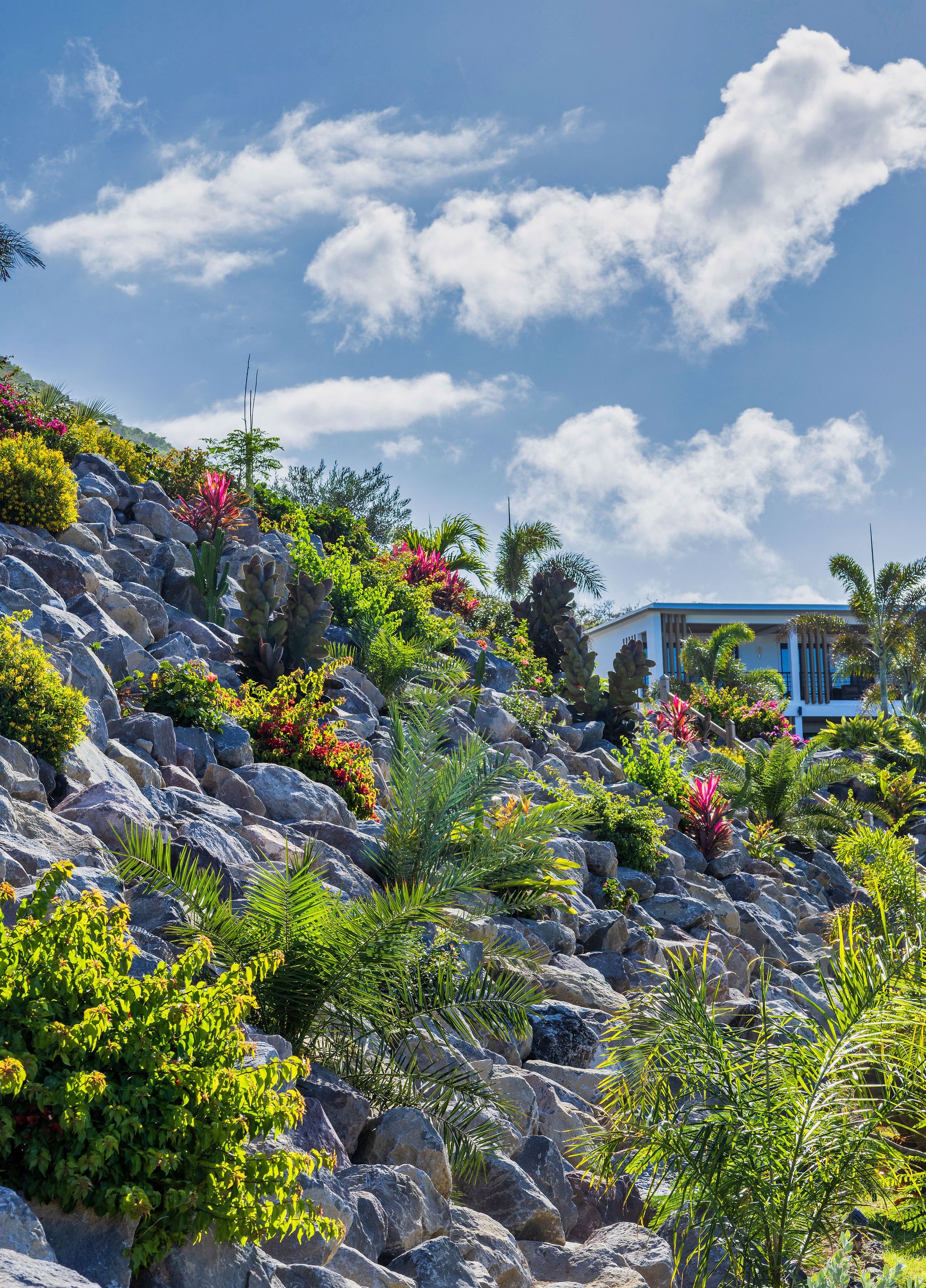 golden-rock-dive-nature-resort-Sint Eustatius-accommodatie-tuin