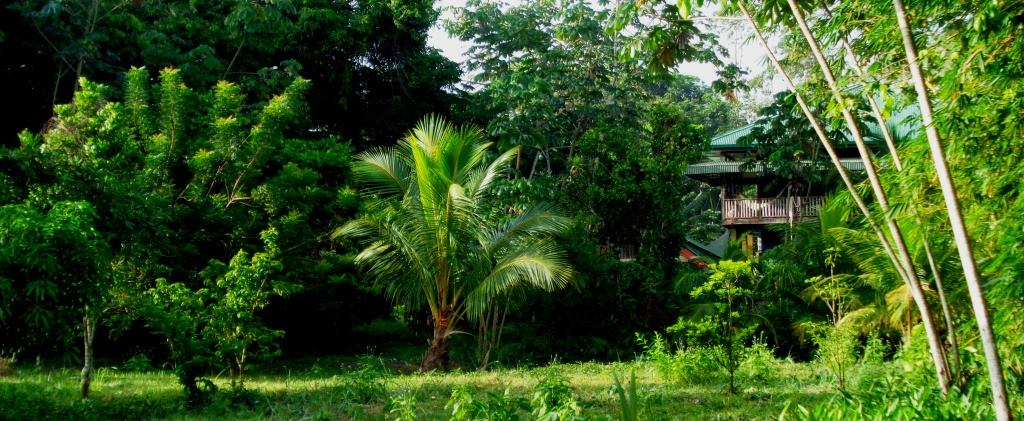 guesthouse-little-paradise-9